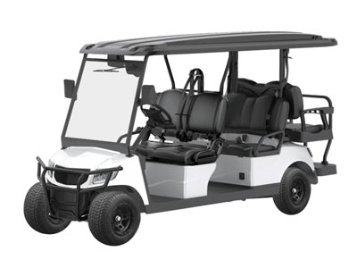 Fusion Passenger 4+2 Electric Cart